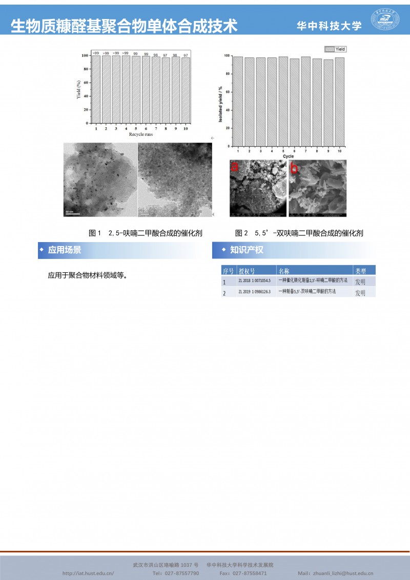 092210194072_0CG21062成果推介生物材料-生物质糠醛基聚合物单体合成技术-尹国川-宣传页_2